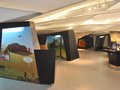 Ausstellungsbau der Schreinerei Bruckbauer mit grafischen Beklebungen durch ICS